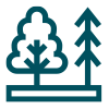 different-trees-Evergreen-Therapeutics