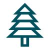 single-tree-Evergreen-Therapeutics